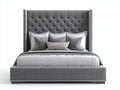 Letto matrimoniale - Tessuto vellutato-Metallo - 220 x 190 x 145 cm - Grigio - Stile classico contemporaneo